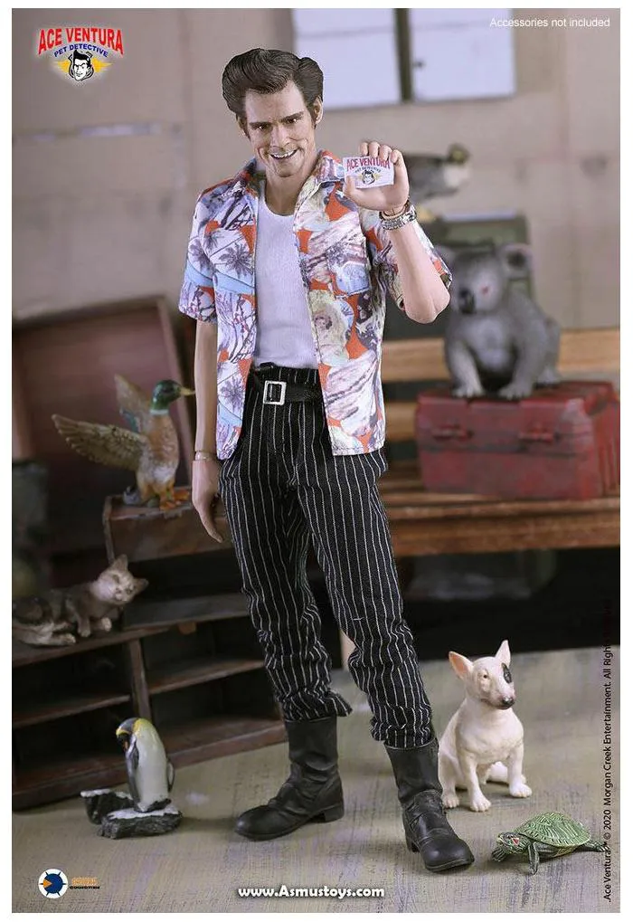 ACE VENTURA - Pet Detective - 1/6 Action Figure 12"