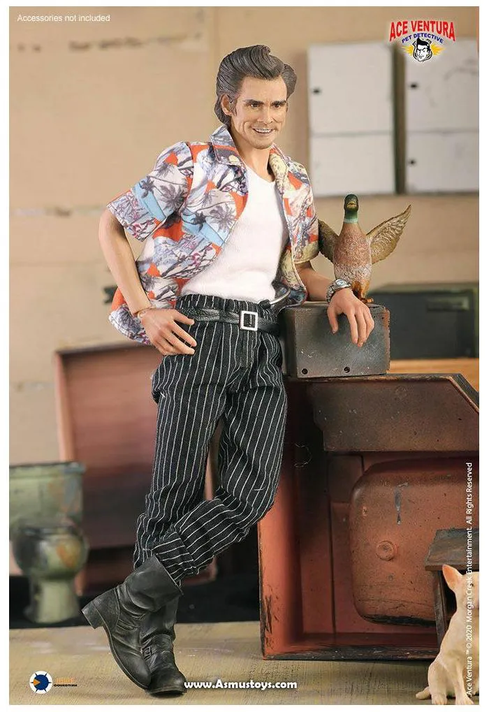 ACE VENTURA - Pet Detective - 1/6 Action Figure 12"