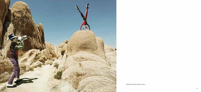 Figure Fantasy The Pop Culture Photography of Daniel Picard Artbook