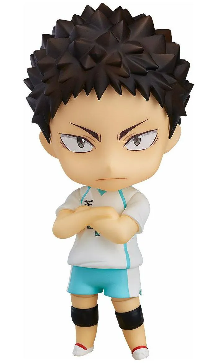 HAIKYUU!! - Hajime Iwaizumi Nendoroid Action Figure # 699