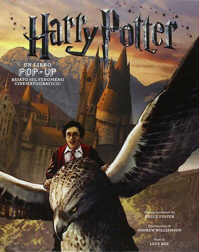HARRY POTTER - UN LIBRO POP-UP