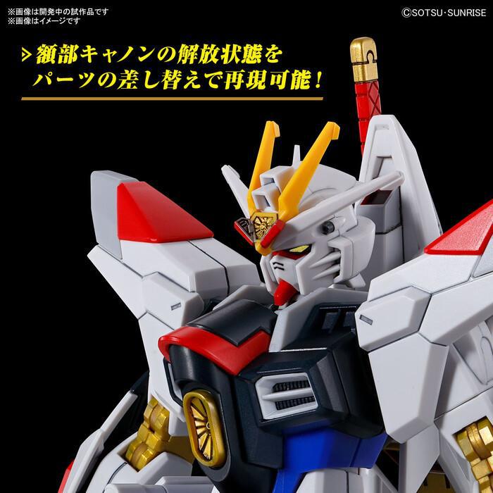 GUNDAM - 1/144 Mighty Strike Freedom Model Kit HGCE # 250