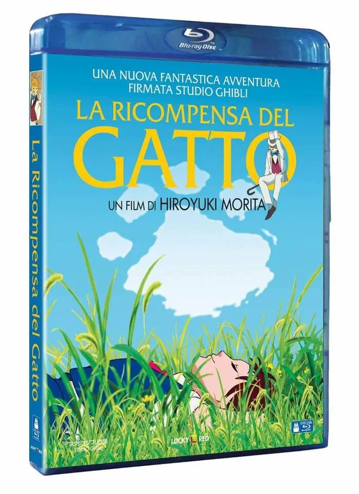 Ricompensa del Gatto Ghibli Miyazaki DVD
