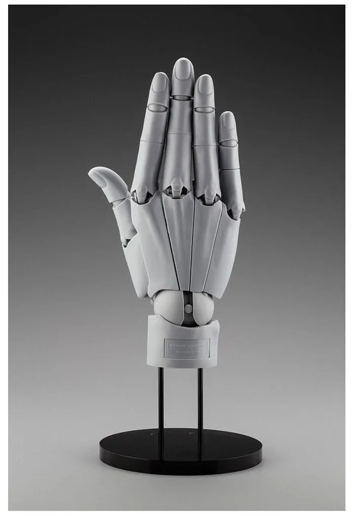 Takahiro Kagami - Hand 1/1 Model / R Gray Artist Support Item